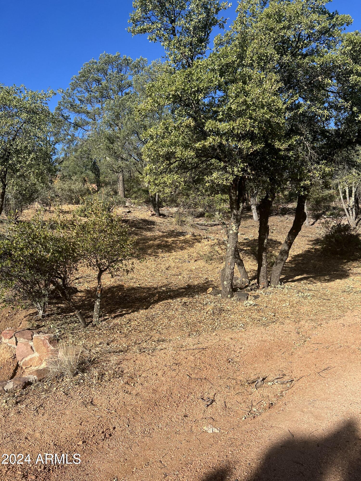 Payson, Arizona 85541, United States, ,Land,Active,60854