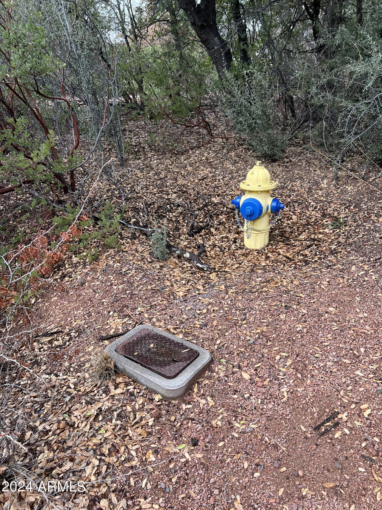 Payson, Arizona 85541, United States, ,Land,Active,60854