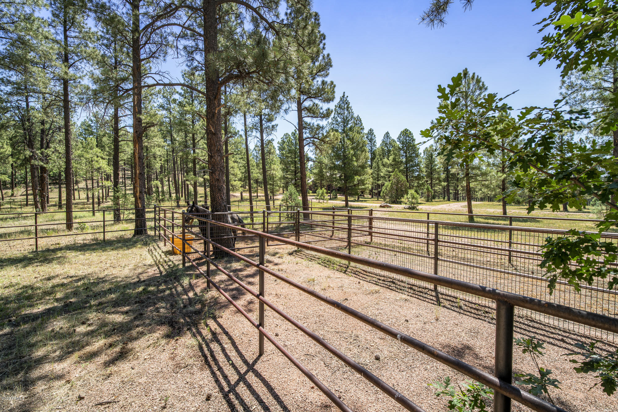 Porter Mountain Estates - Residential
