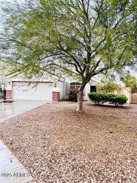 23792 W PECAN Court Buckeye AZ 85326