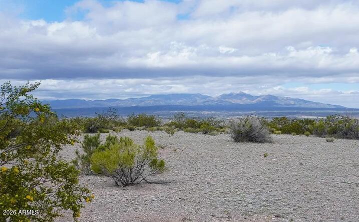 13251 E Rock Crystal Drive -
