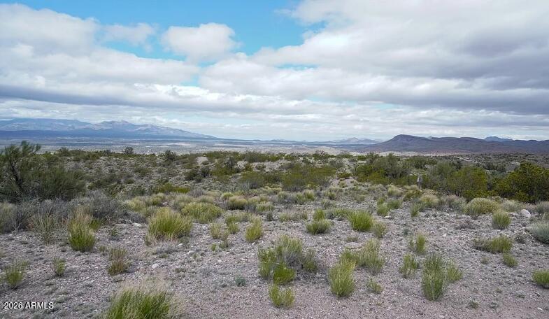 13251 E Rock Crystal Drive -