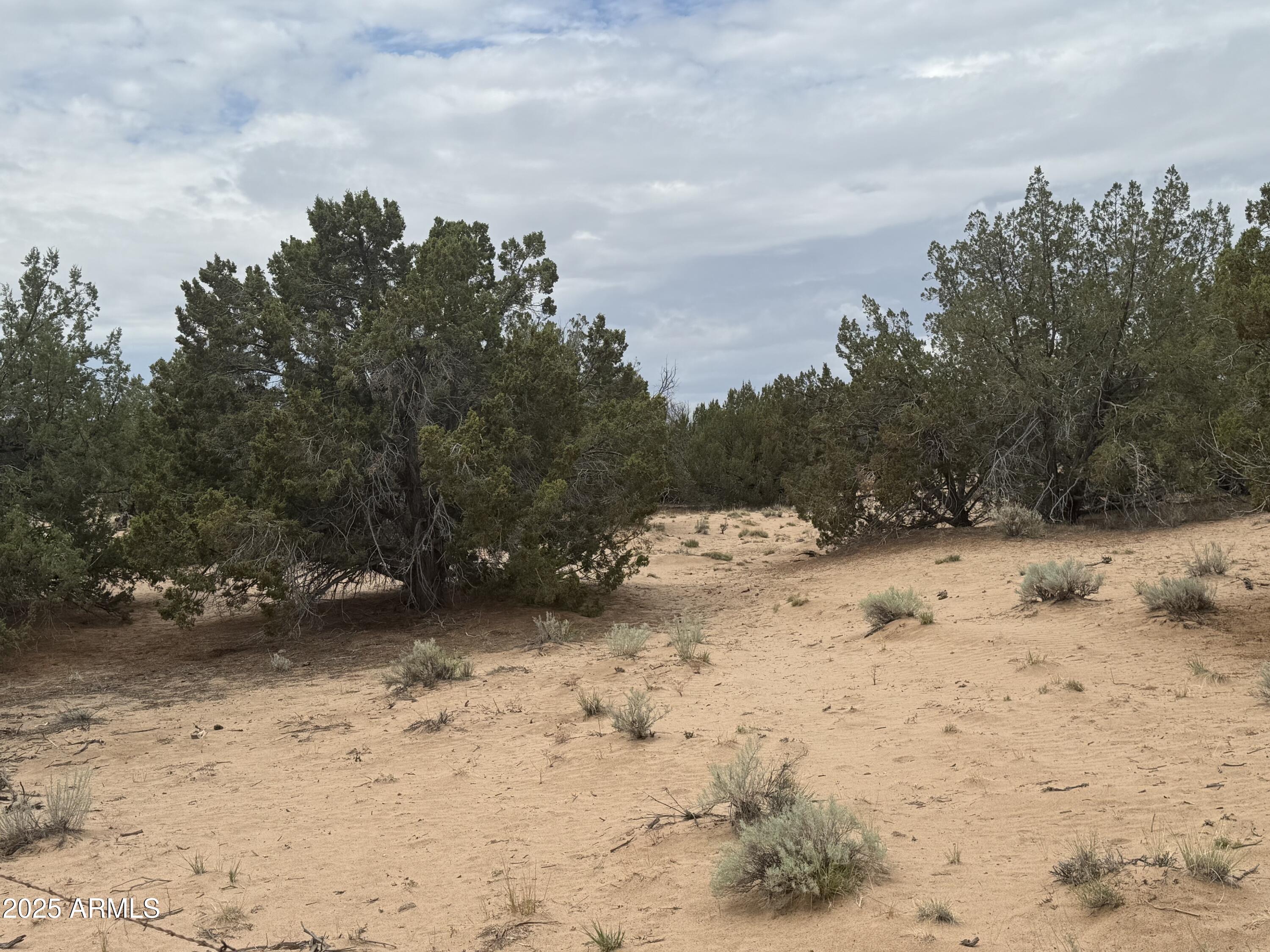 Lot 78 Witch Well Ranches -- 78