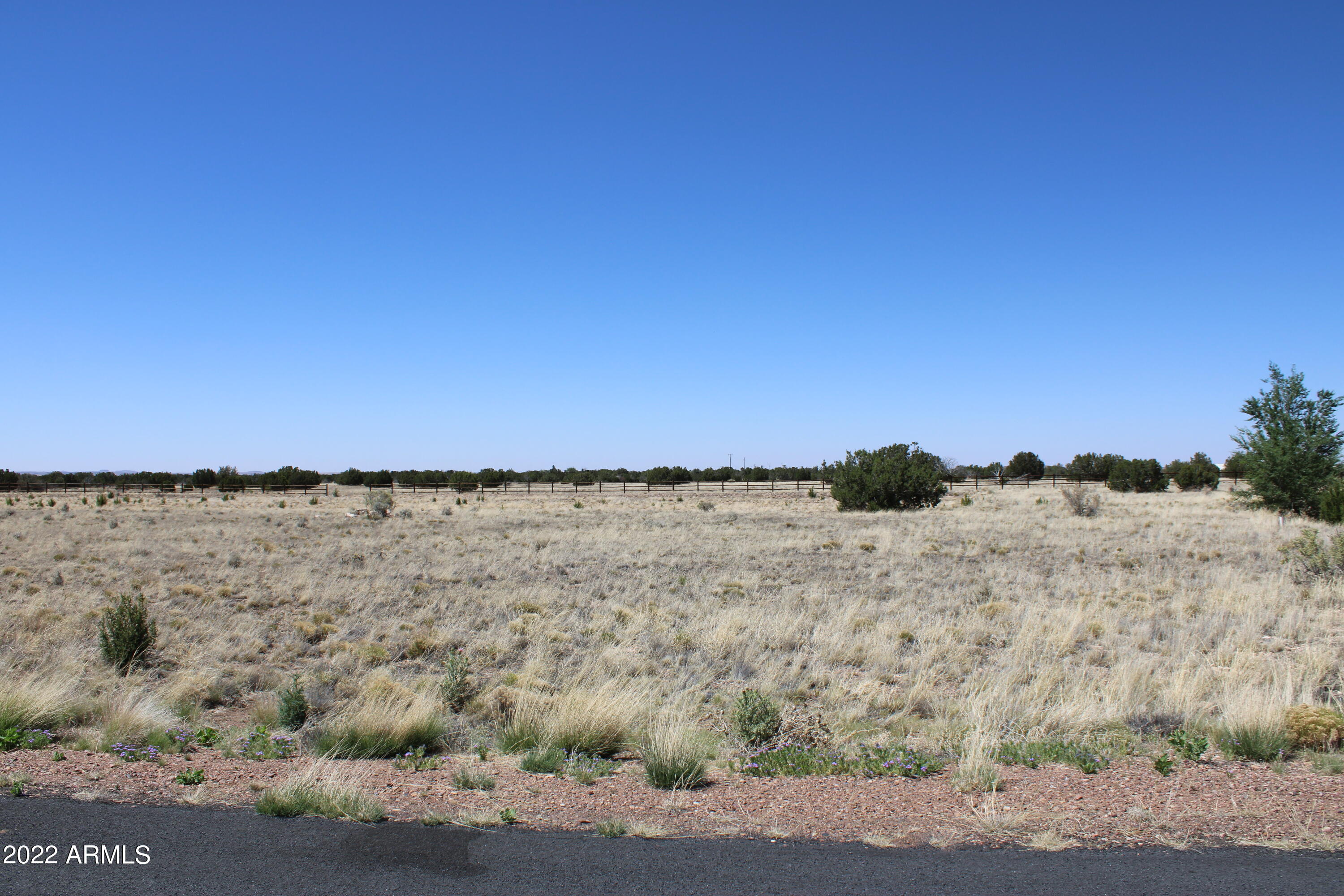 View Show Low, AZ 85901 land