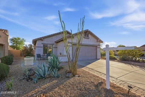 10691 E SURVEYOR Court Gold Canyon AZ 85118