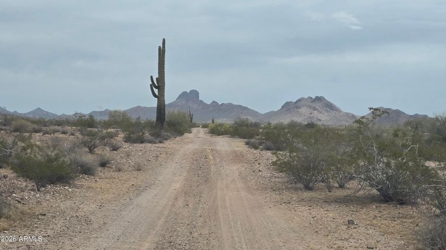 Whispering Ranch is the place to be! This full 5 acre parcel borders state land, so your only neighbor to the North is a mountain range! Parcels in the northwest corner of this subdivision don't come on the market often and usually sell quickly. The West side of the subdivision is located in unincorporated Wickenburg. No floodplain & easy access to Vulture Mine Rd. Off grid living is currently the way to go with solar, generators and hauled water being the norm. A well might be easy with the McMullen Basin aquifer that runs under Whispering Ranch. The area has so much potential with the master planned community of Teravalis already selling their first batch of homes just south of Whispering Ranch. And of course the Town of Wickenburg to the north. Come see it!