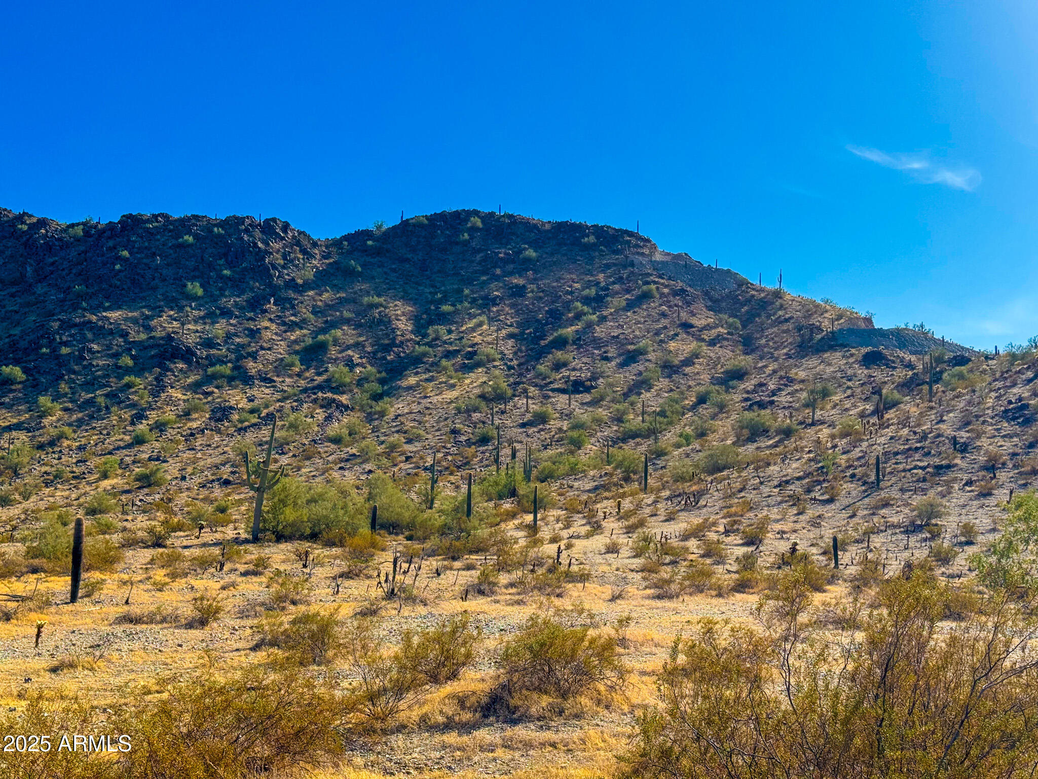0 W HILLDALE RD. 7.31 ACRES Road -