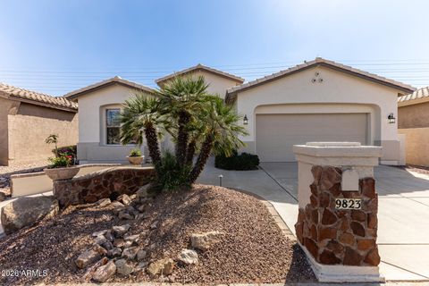 9823 E STONEY VISTA Drive Sun Lakes AZ 85248