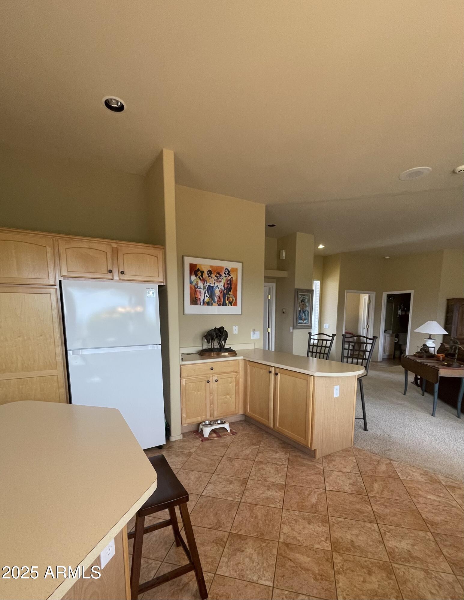 500 S CAMINO DE ENCANTO --