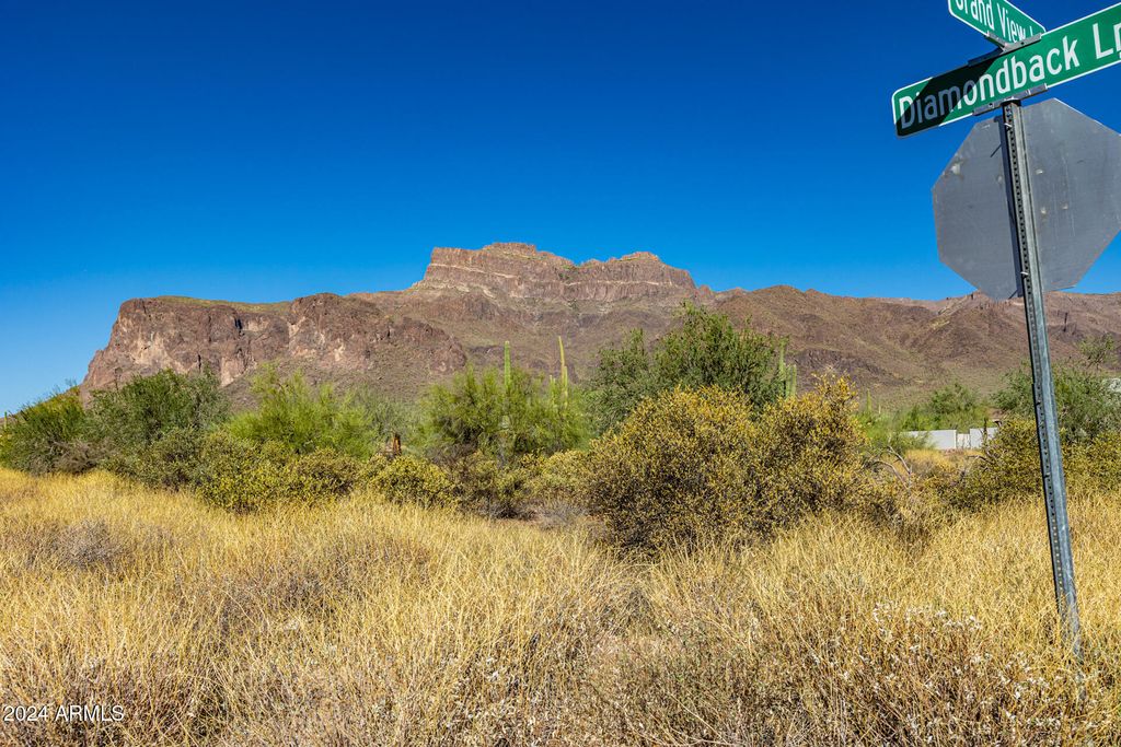 Photo of 7255 E Grand View Lane #86, Gold Canyon, AZ 85119 (MLS # 6783268)