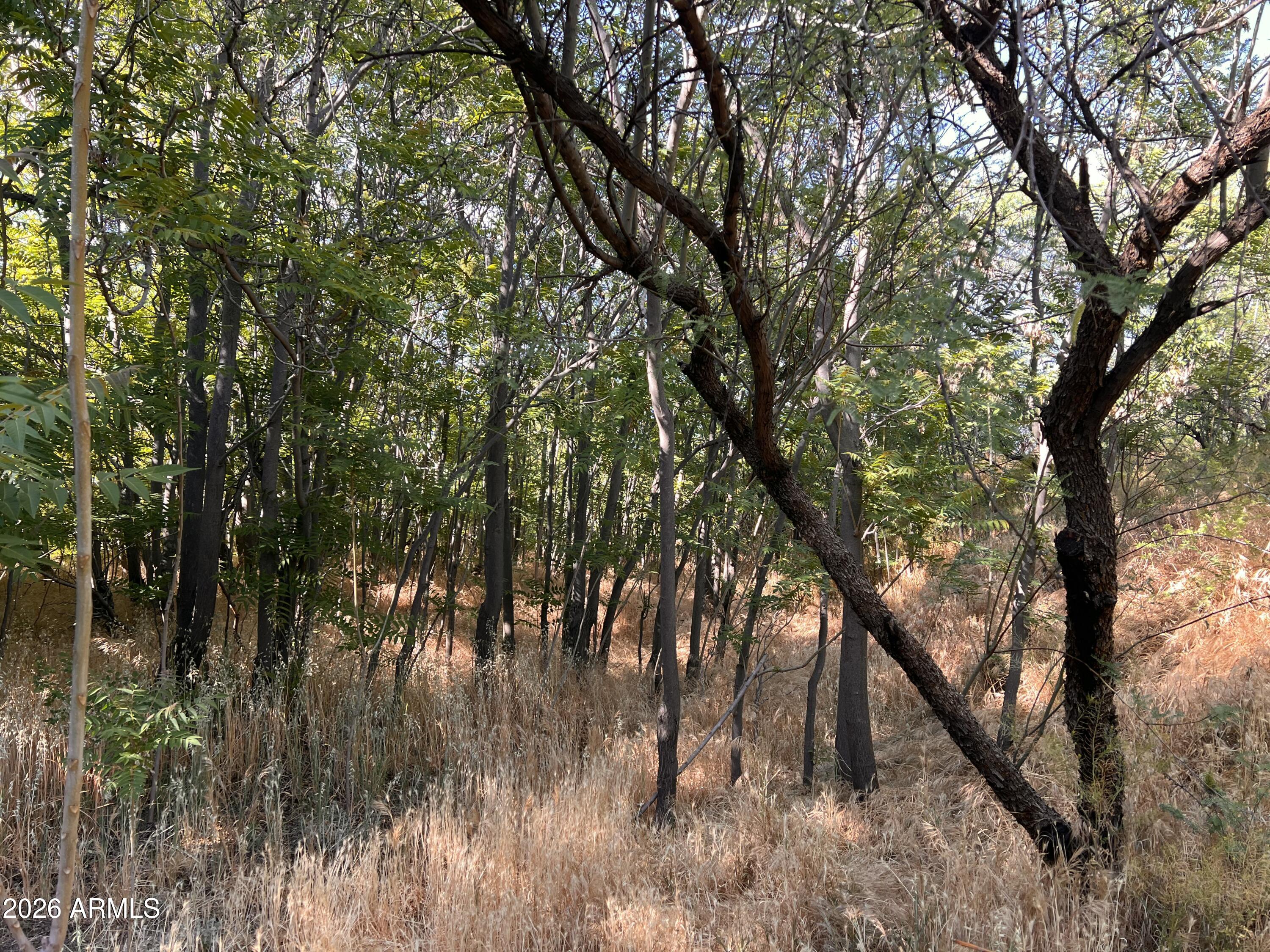 1040 E MINGUS Avenue Unit C