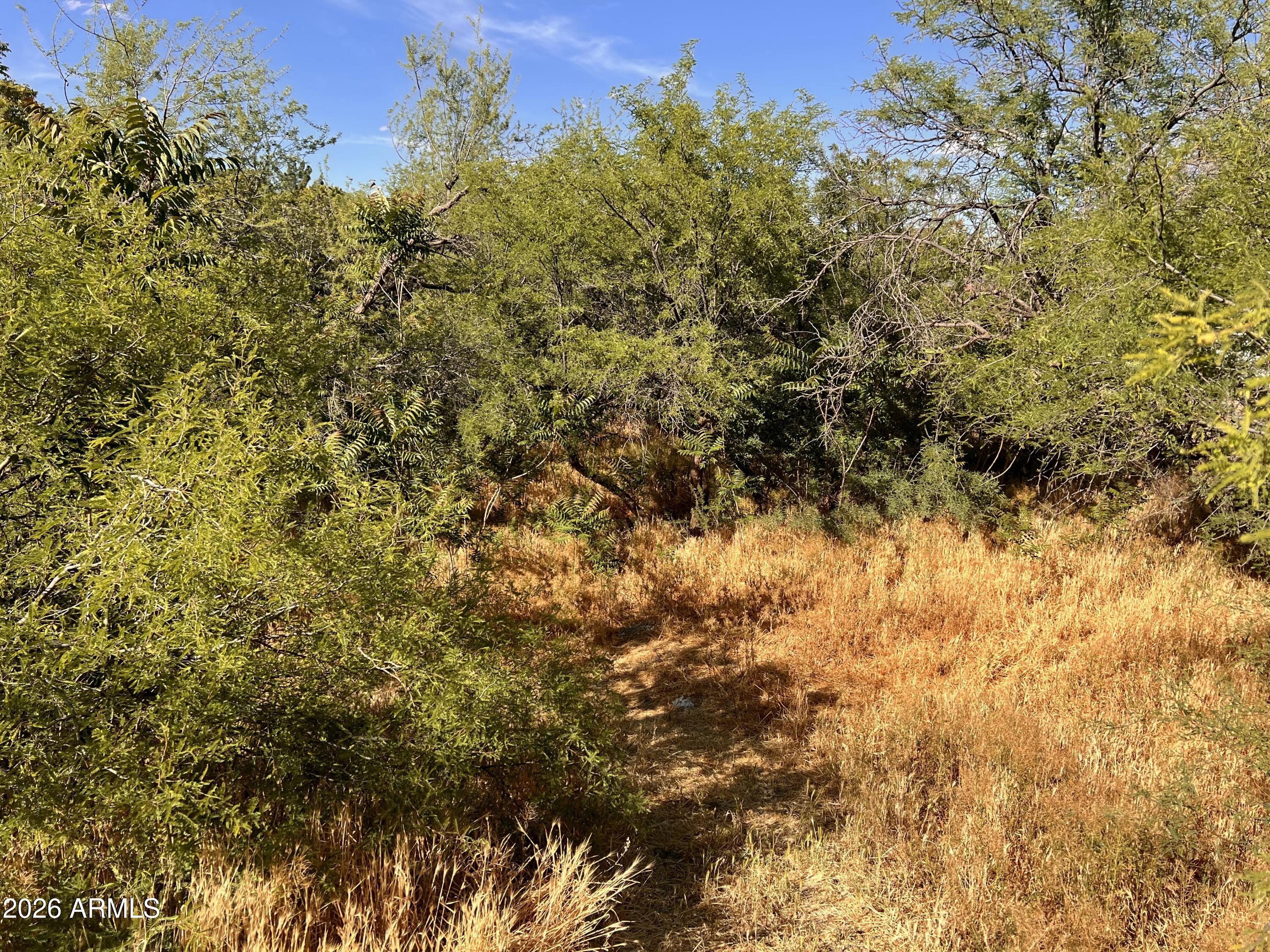 1040 E MINGUS Avenue Unit C