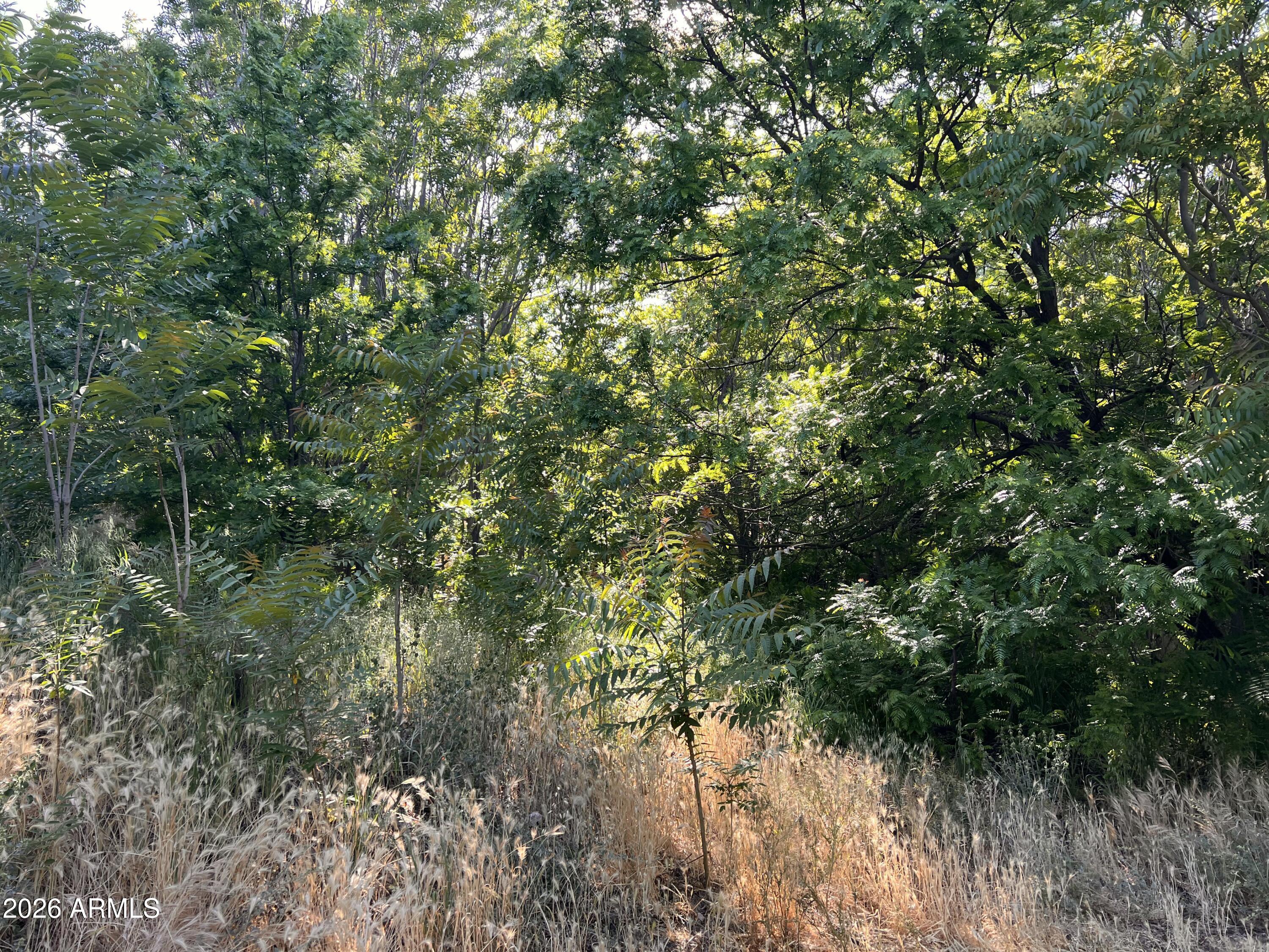 1040 E MINGUS Avenue Unit C