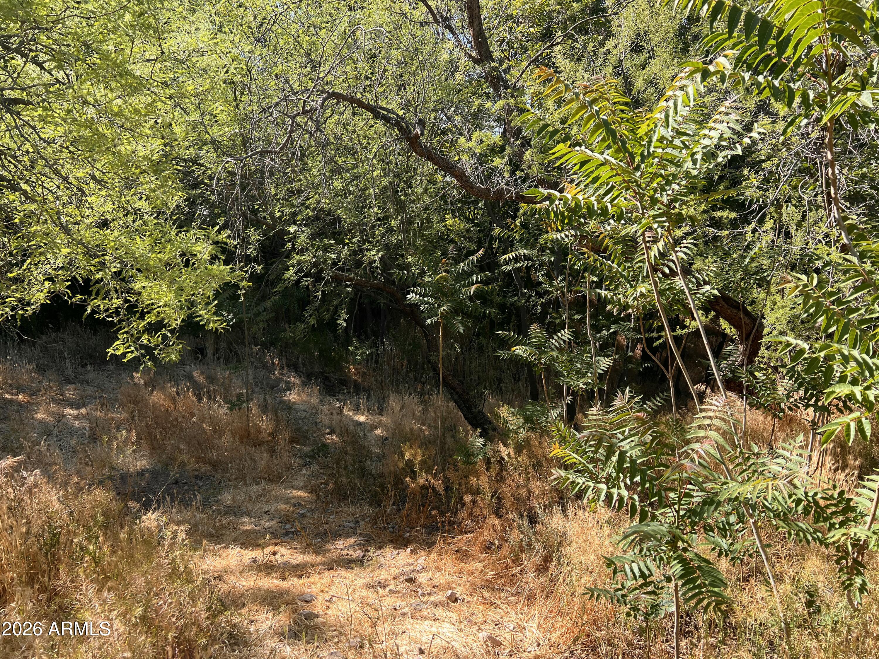 1040 E MINGUS Avenue Unit C