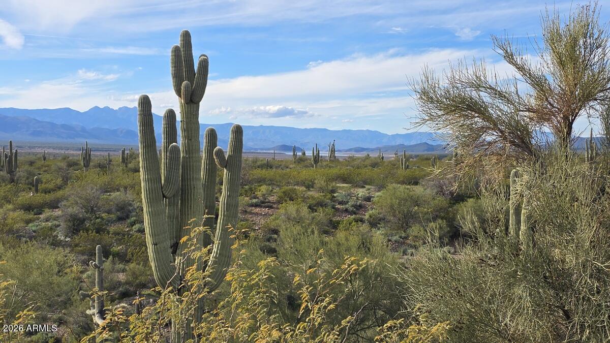 6368 N AZ HIGHWAY 288 --