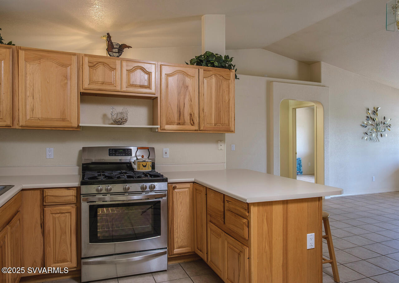 4000 E Mustang Drive