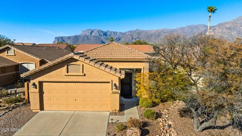 A home in Gold Canyon