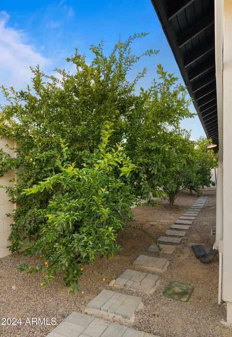 A home in Queen Creek