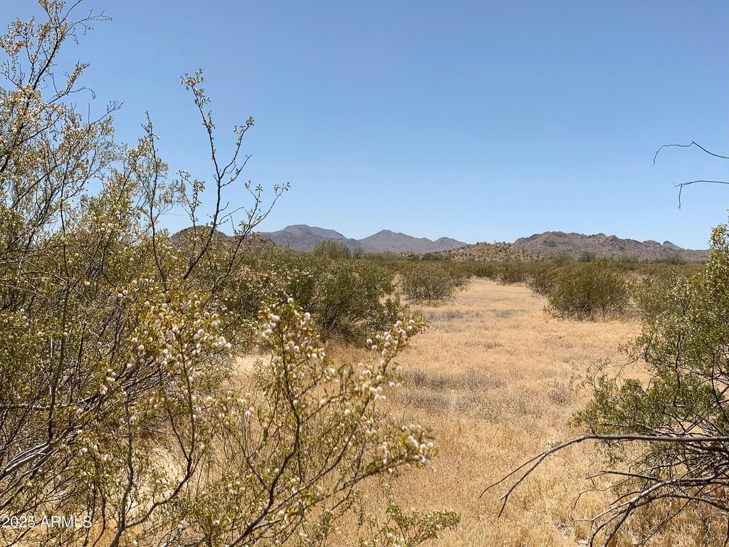 Photo of 1 W Whirly Bird Lot 4 Road #-, Maricopa, AZ 85139 (MLS # 6901831)