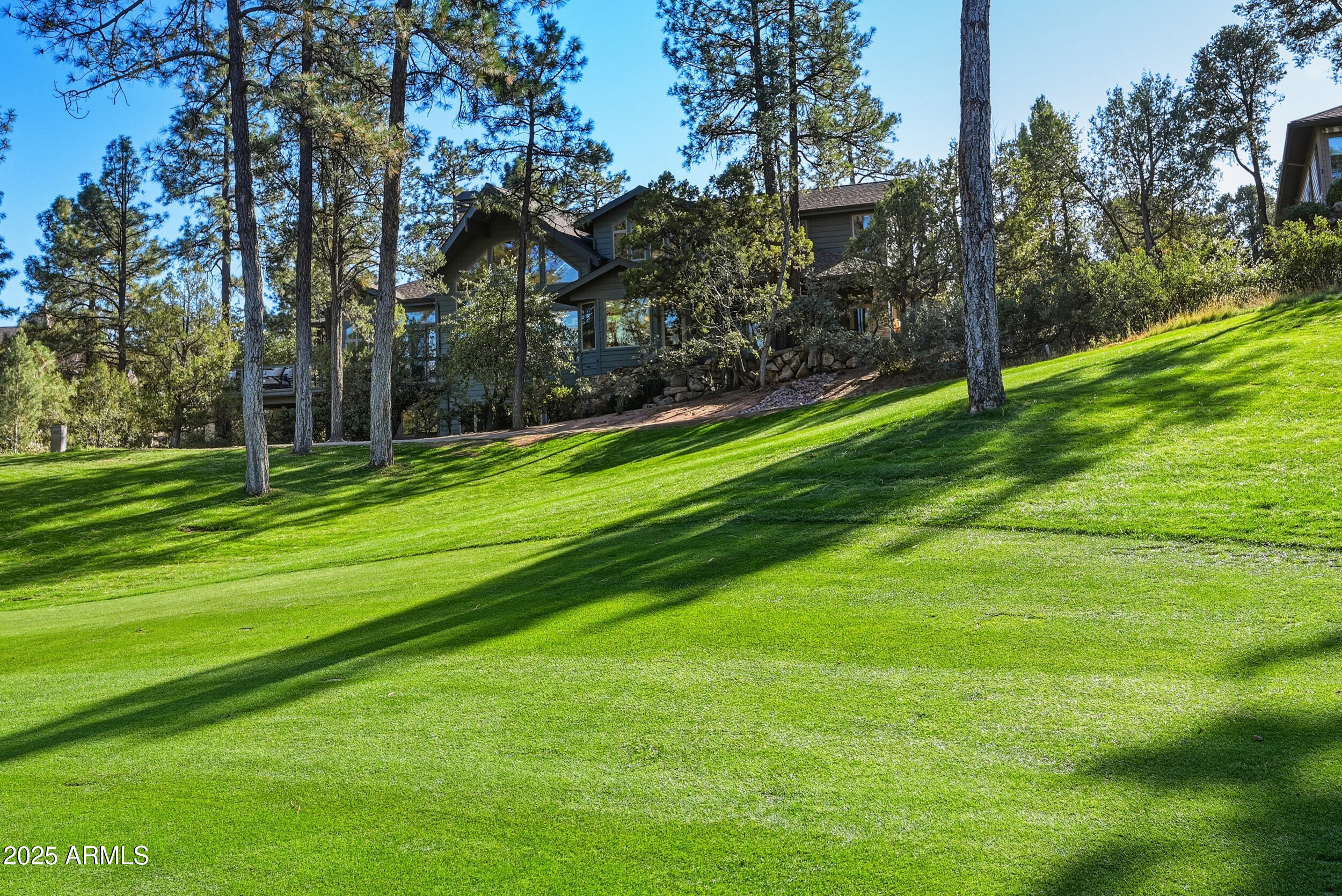 2204 E Feather Plume Lane 543