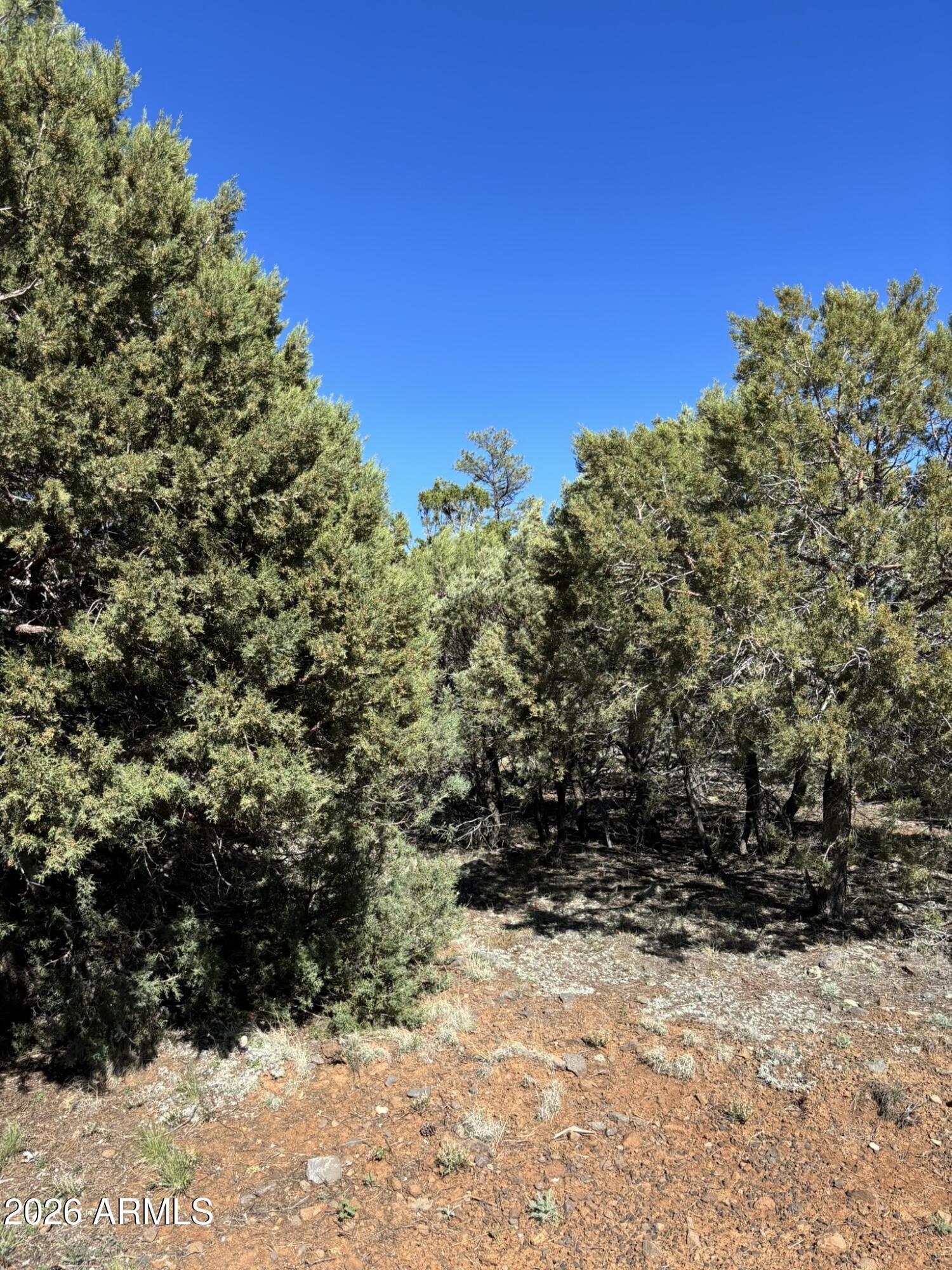 5459 Gray Wolf Drive 46