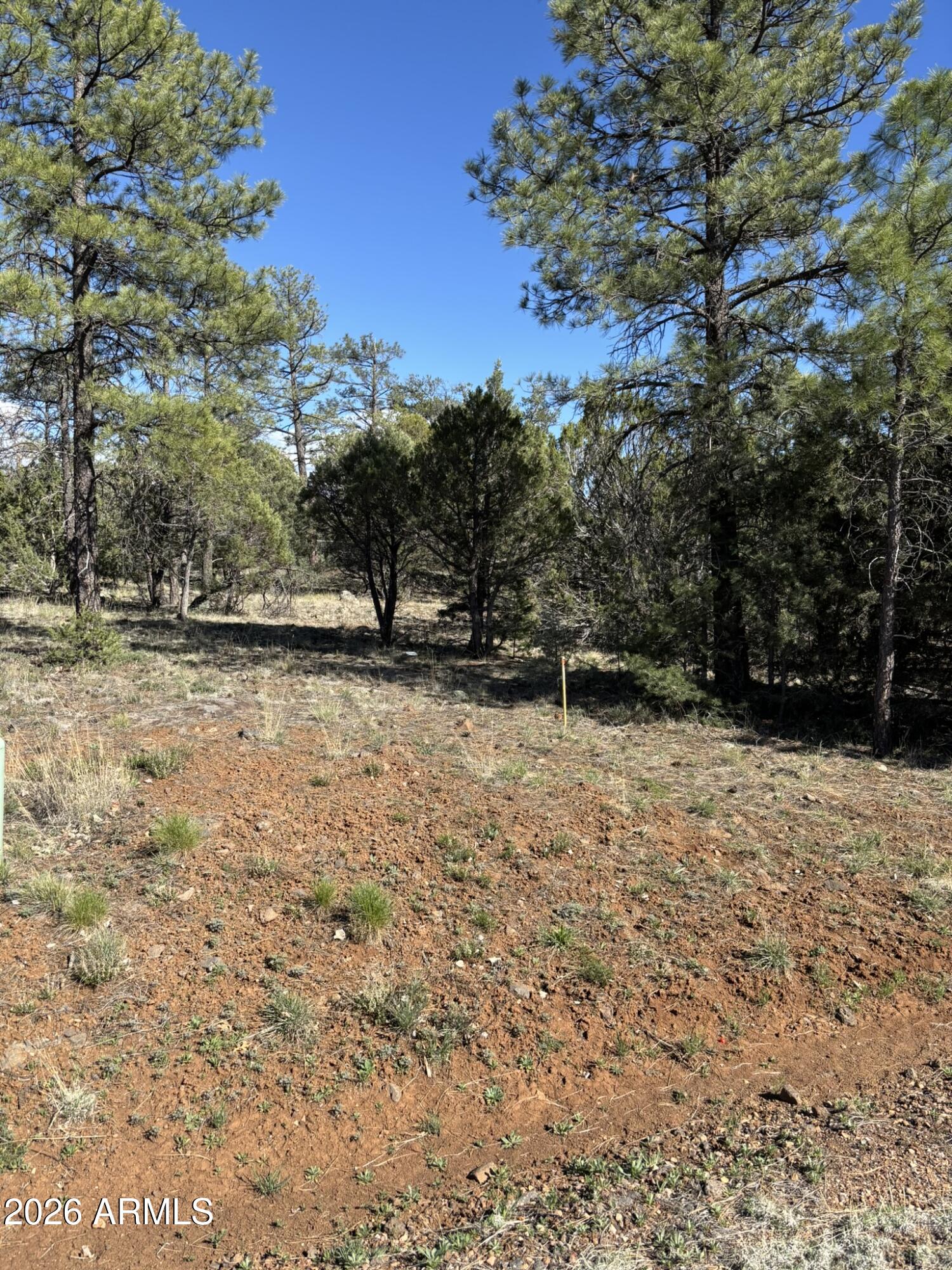 5459 Gray Wolf Drive 46