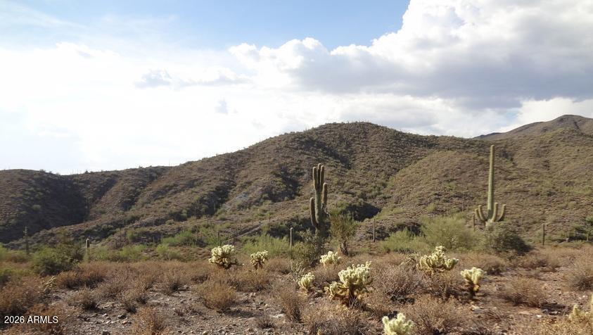 40800 N Brangus Road -