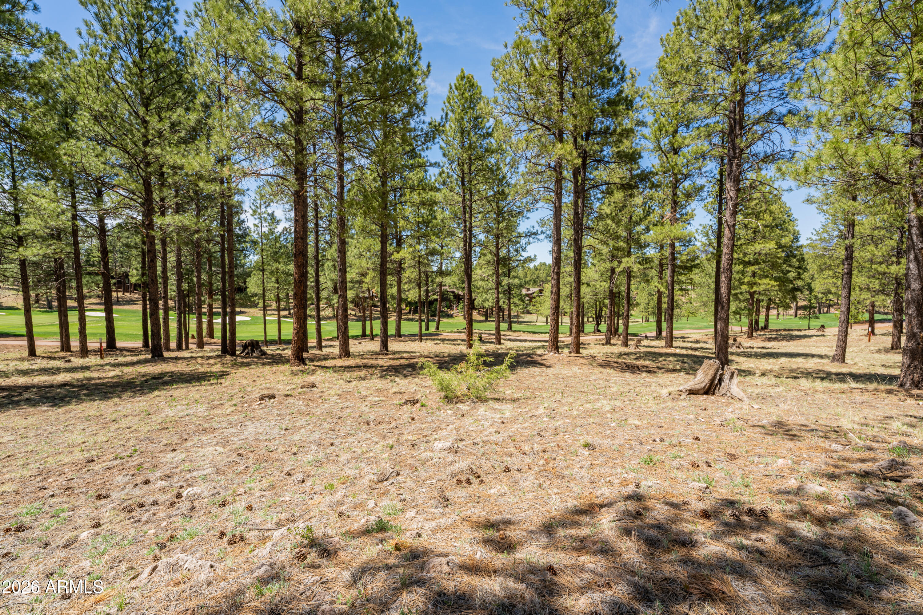 3681 S Woodland Hills Drive 363