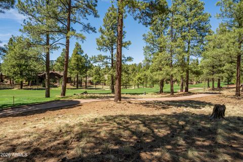 3681 S Woodland Hills Drive 363 Flagstaff AZ 86005