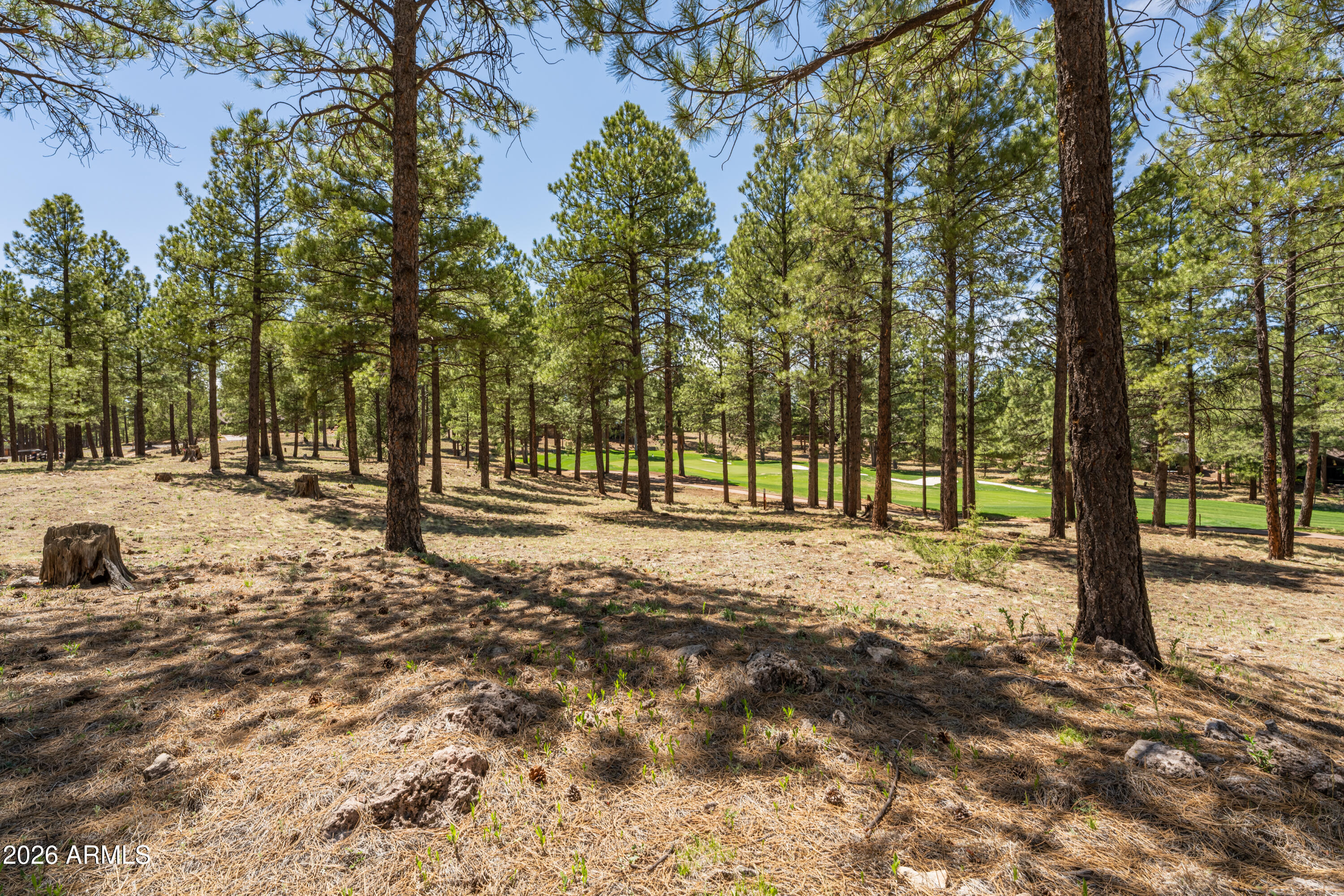 3681 S Woodland Hills Drive 363
