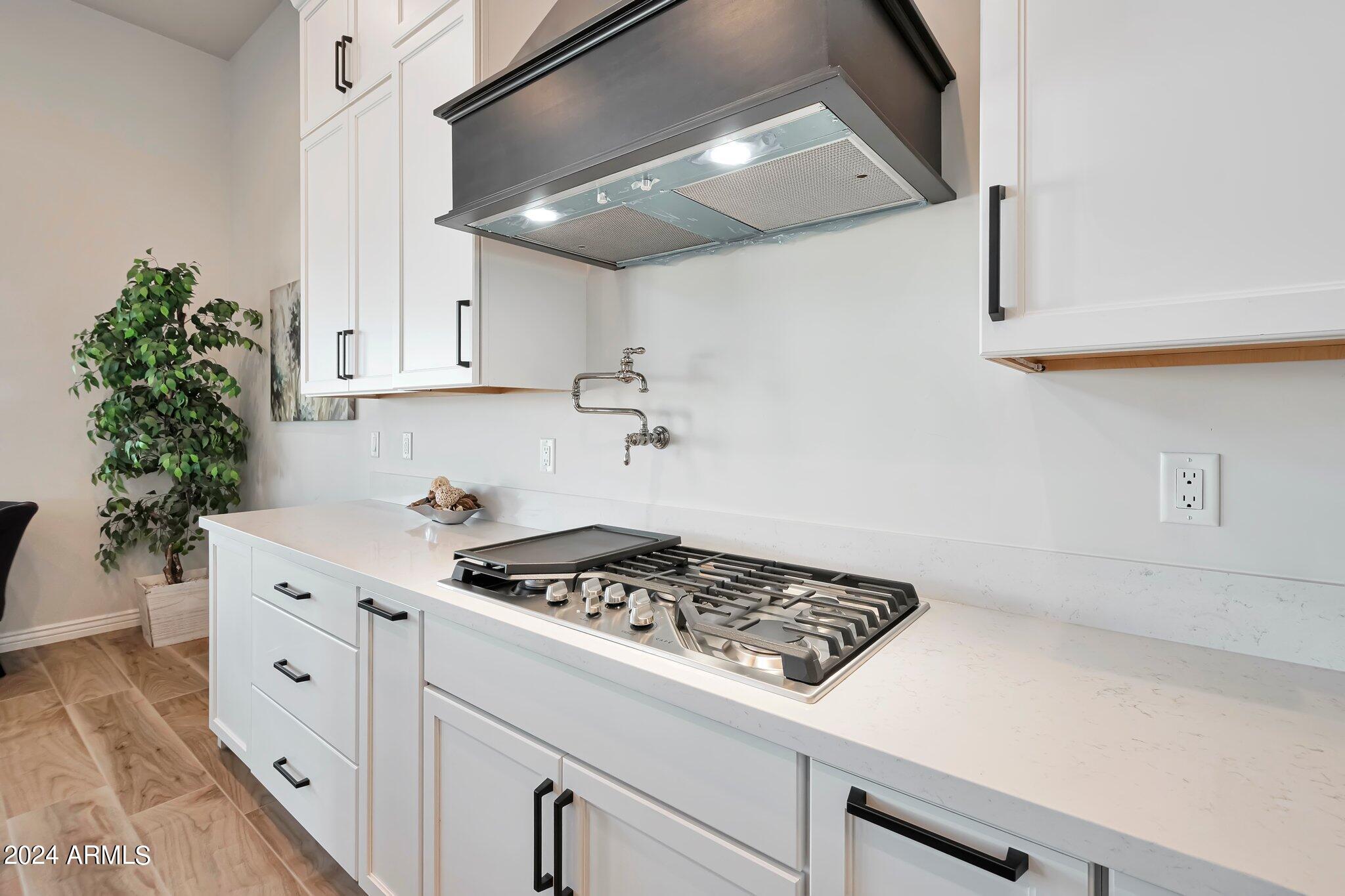 25232 S PYRENEES Court