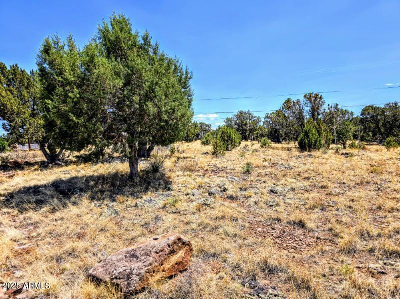 1939 Daggs Circle 24