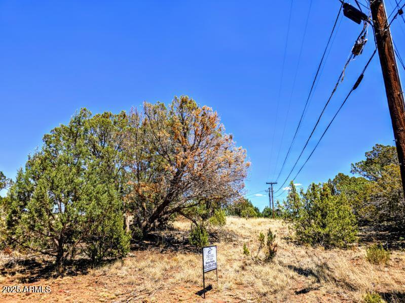 1939 Daggs Circle 24