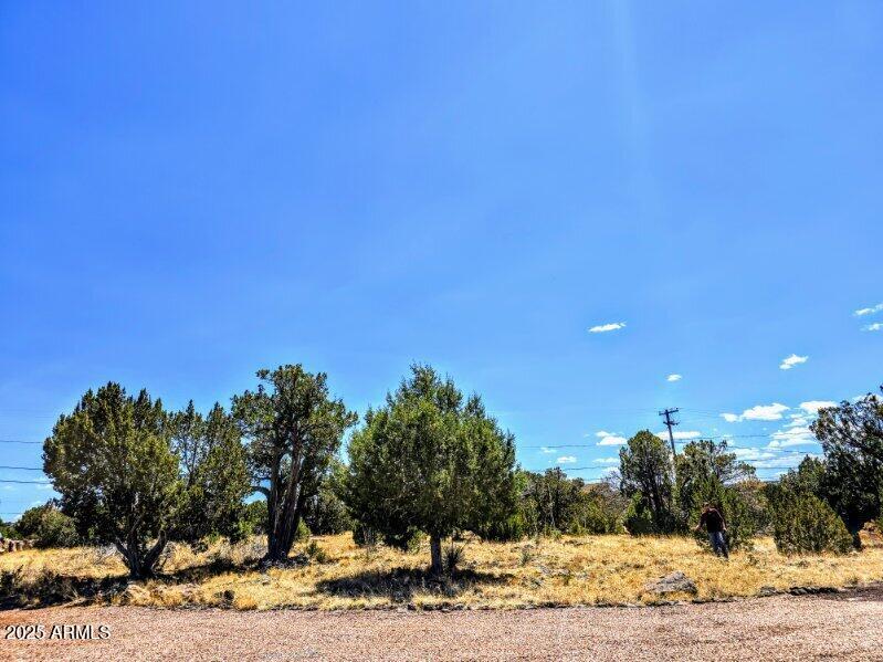 1939 Daggs Circle 24