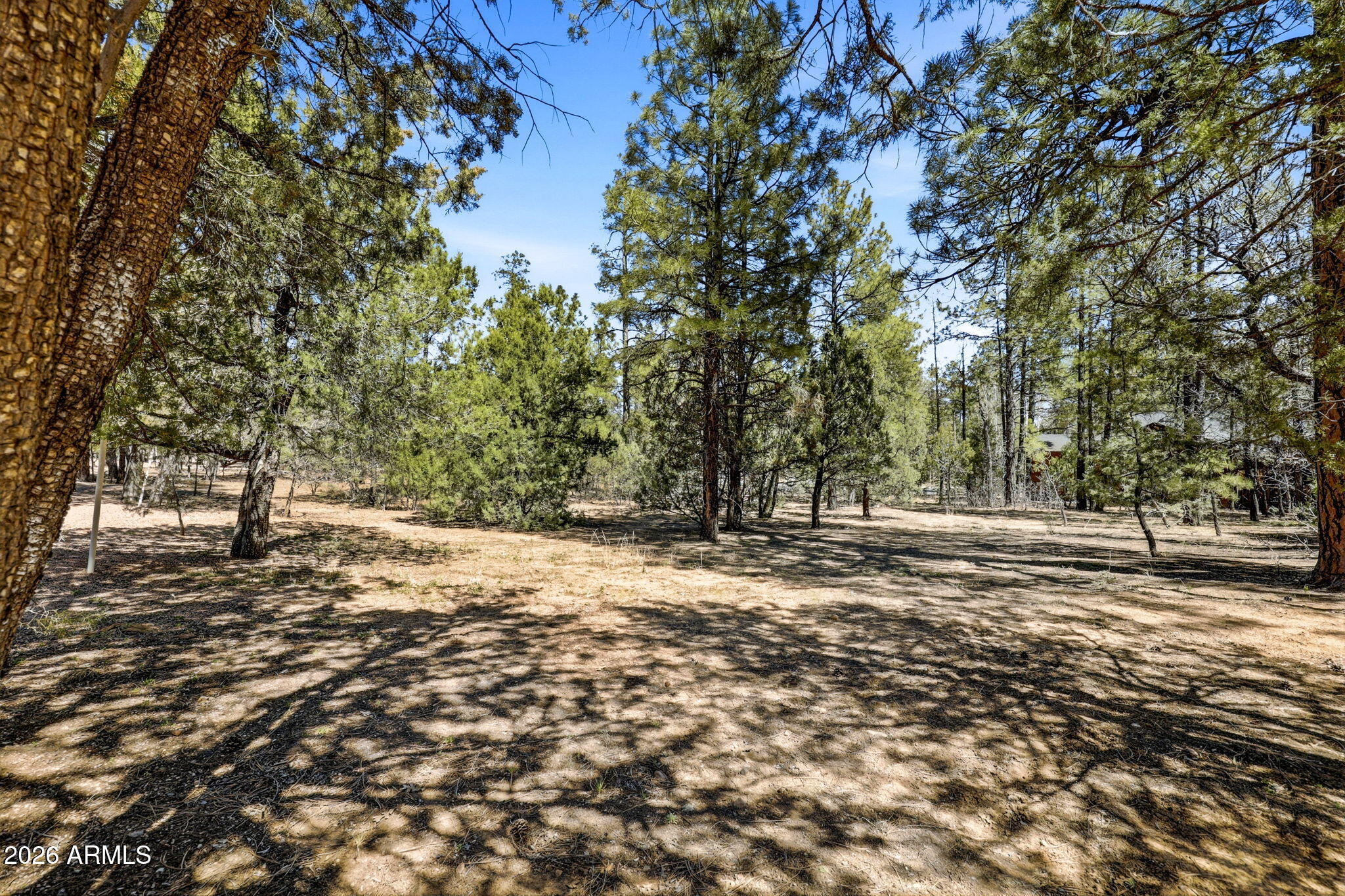5039 WINTER HAWK Court 69