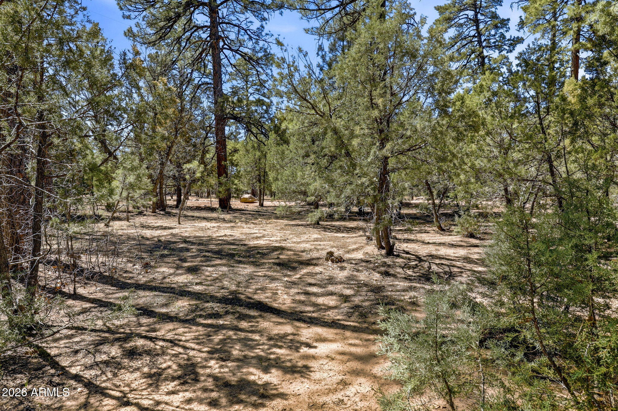 5039 WINTER HAWK Court 69