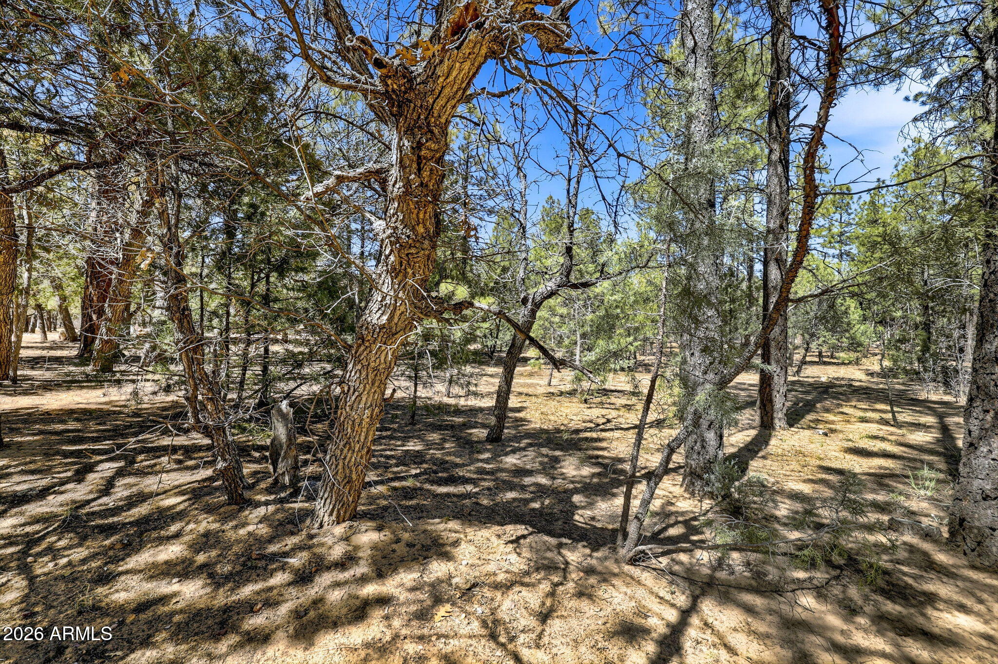 5039 WINTER HAWK Court 69