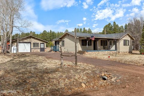 552 RIM Drive Pinedale AZ 85934