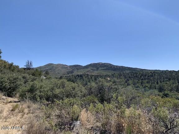 17545 W BUCKHORN Drive 1