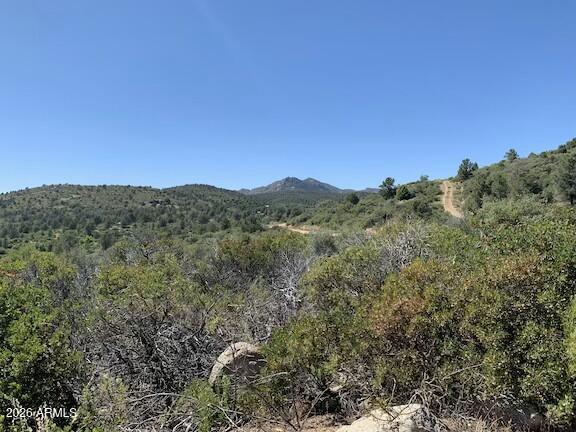 17545 W BUCKHORN Drive 1