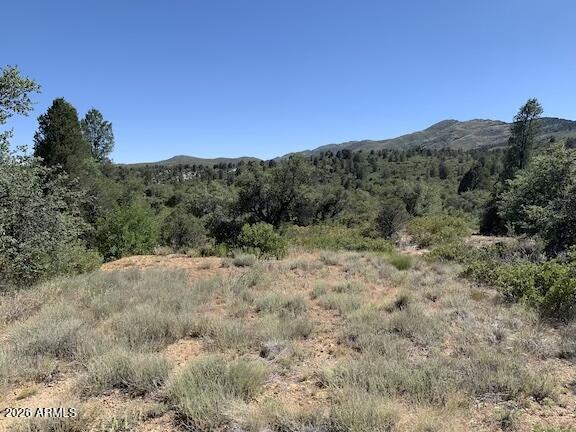 17545 W BUCKHORN Drive 1