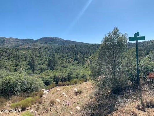17545 W BUCKHORN DR # 1, KIRKLAND, AZ 86332 - Image dcb3f67cc0a48a6cb632cf269c13dc21/59098001