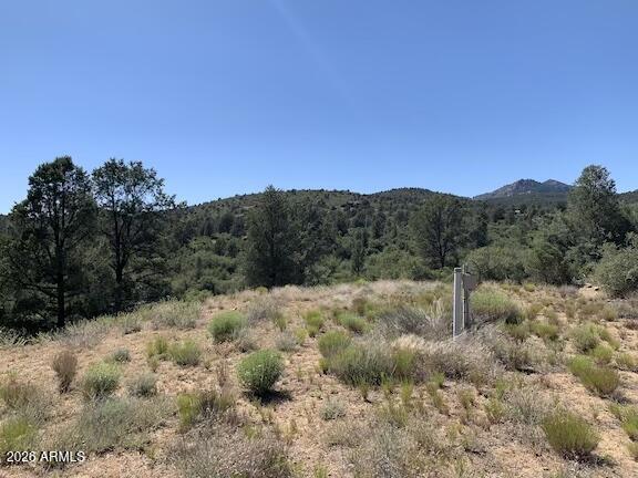 17545 W BUCKHORN Drive 1