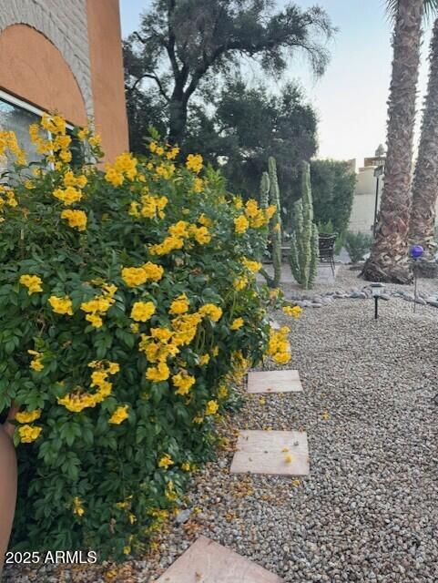 7844 E COOLIDGE Street