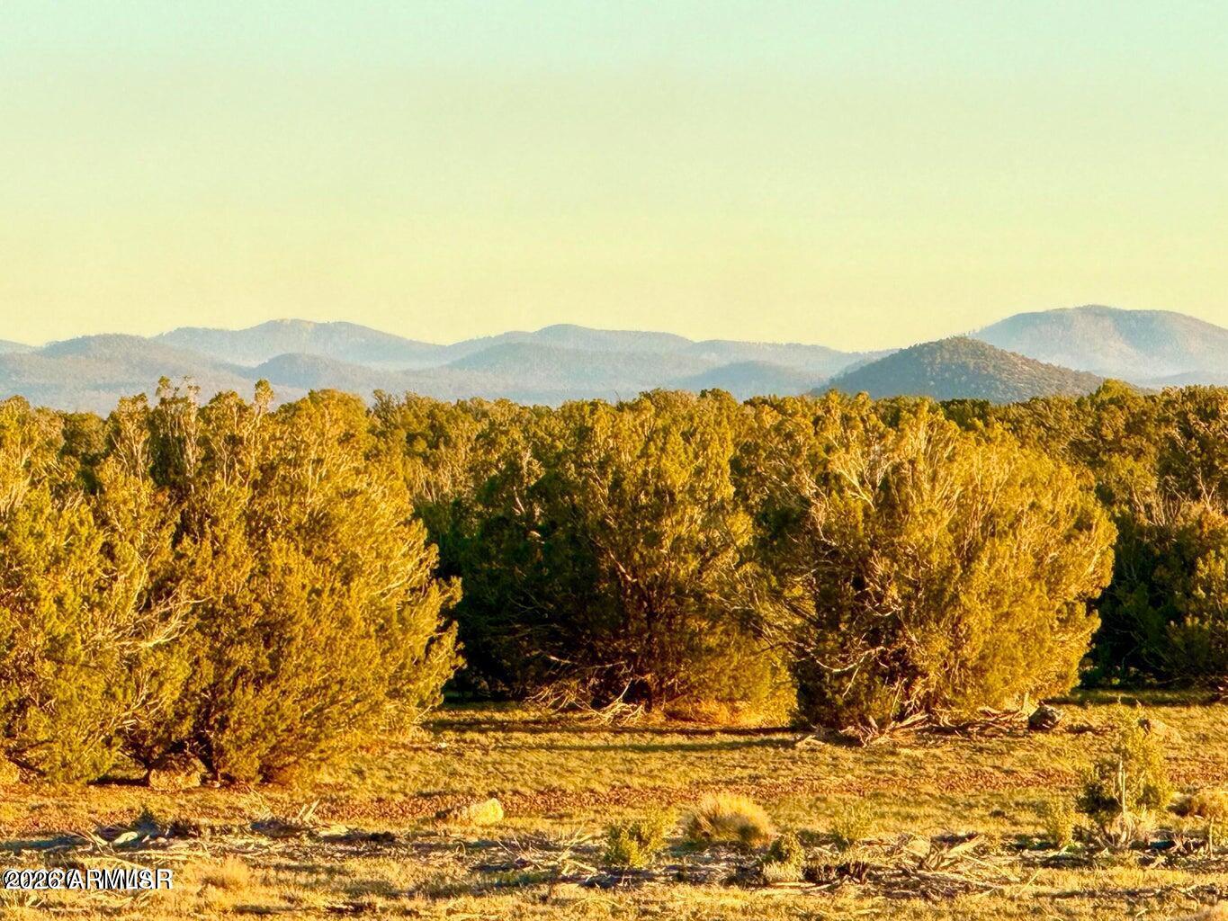 9023 Appaloosa Trl (Lot A) 5 Acres -- -