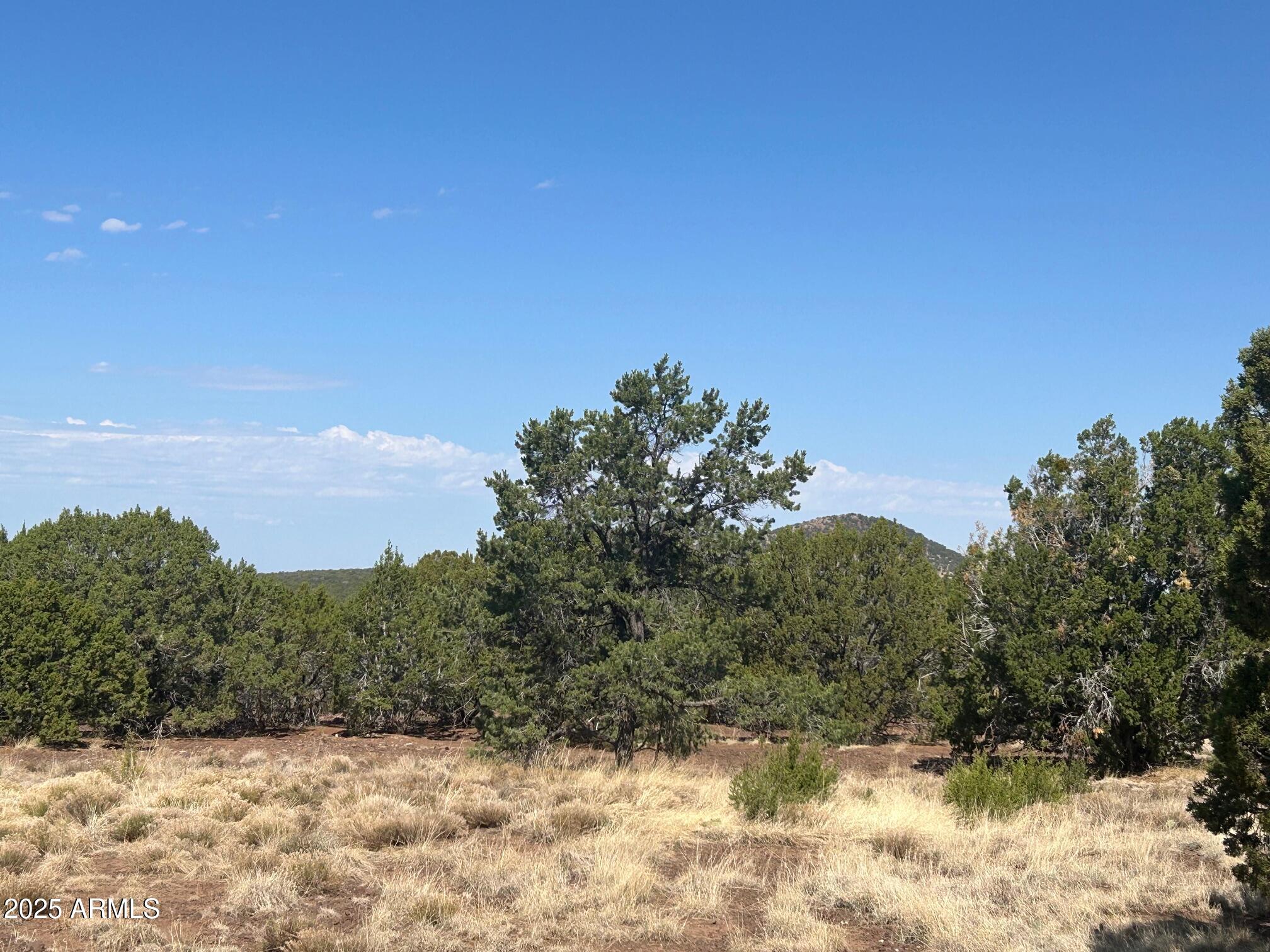 lot 2 Stanford Drive 2