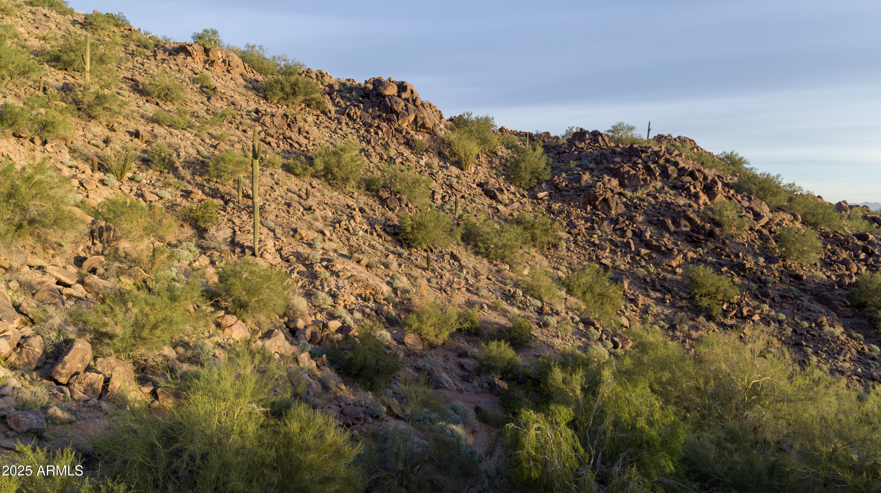 Paradise Valley, Arizona 85253, United States, ,Land,Active,248627