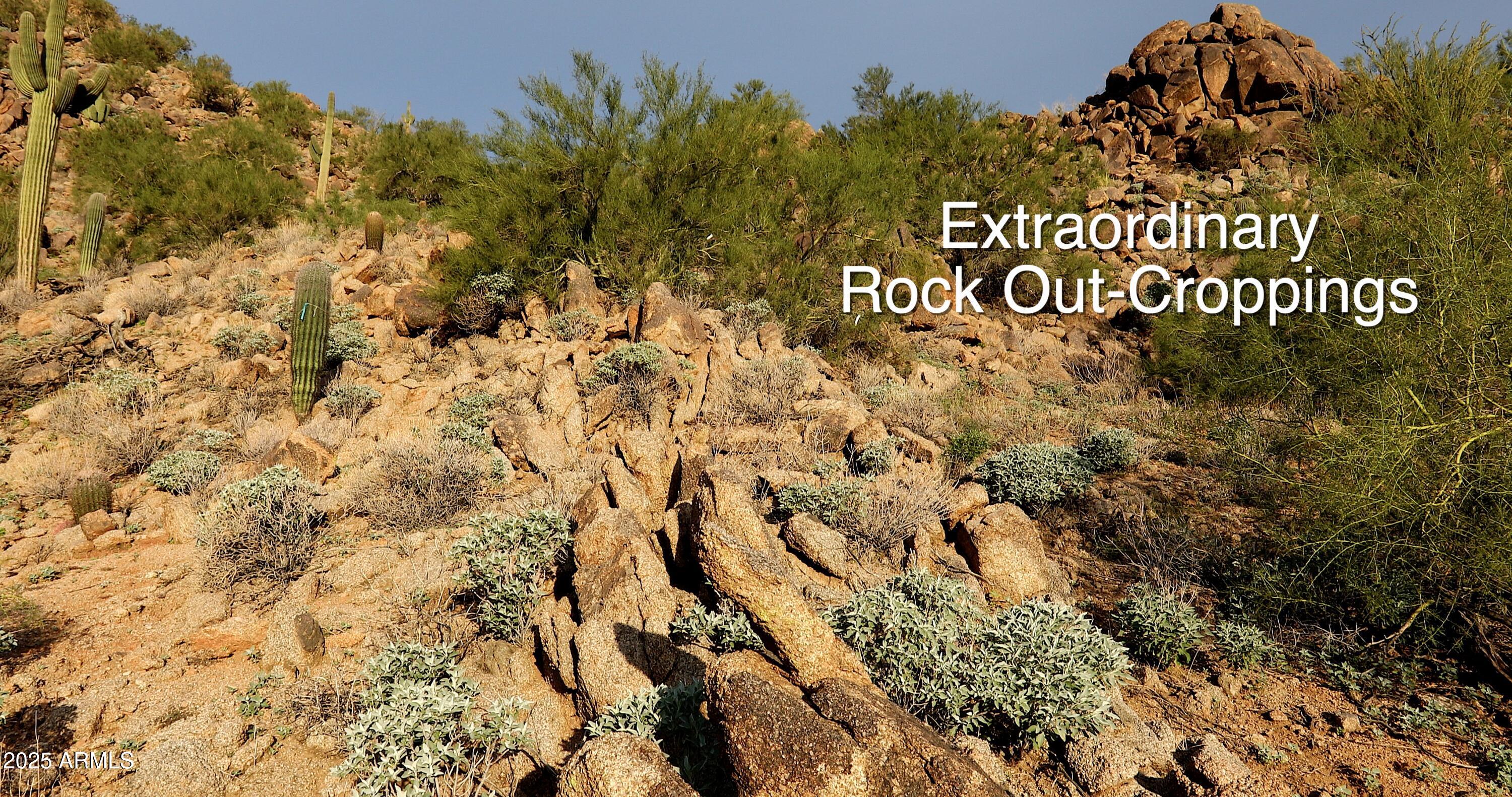 5900 E Cholla Lane -