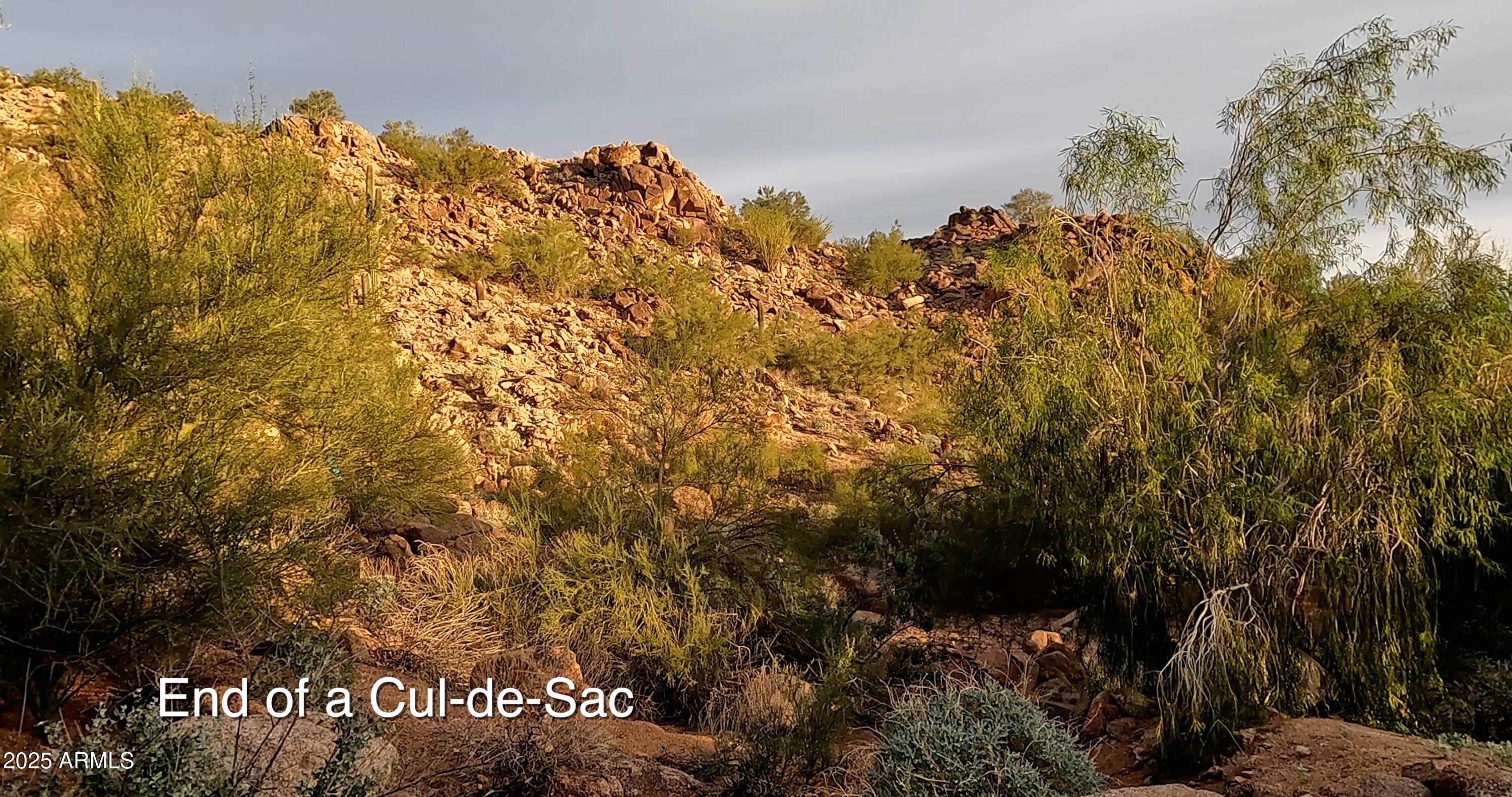 5900 E Cholla Lane -