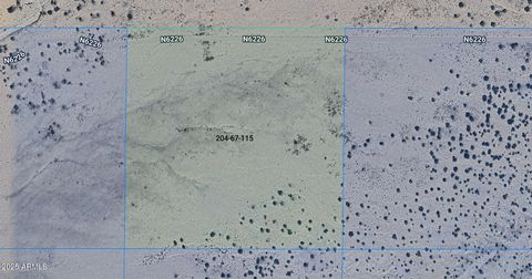 Lot 115 Carrizo Ranches -- 115 St Johns AZ 85936